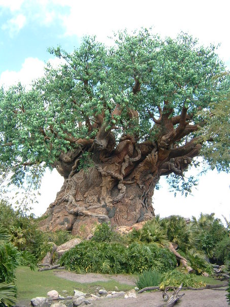 The Tree of Life in Disney's Animal Kingdom Theme Park. Imagine this beauty abuzz with fireflies!